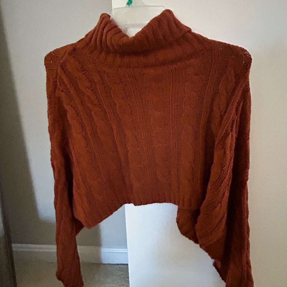 Steve Madden Rust Cable Knit Turtleneck Sweater